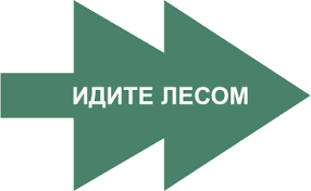 Проект «Идите лесом»