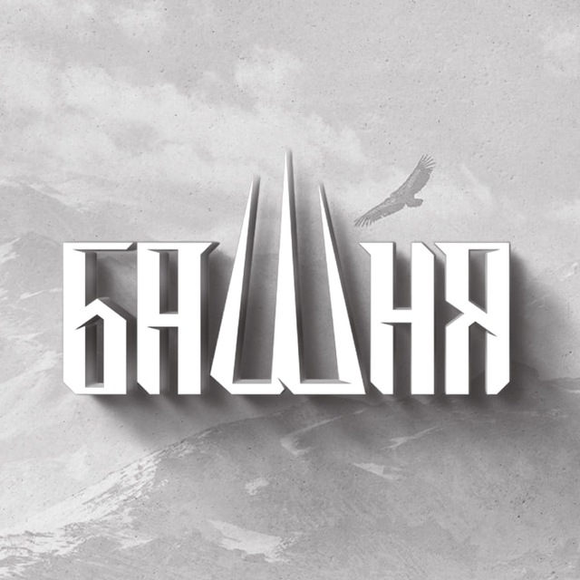 Информационно-аналитический центр «БАШНЯ»